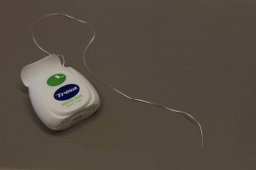 National Flossing Day