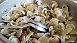 National Fried Scallops Day