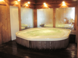 National Hot Tub Day