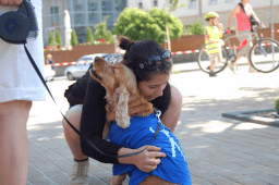 National Hug Your Dog Day