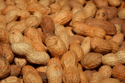 National Peanut Lovers Day
