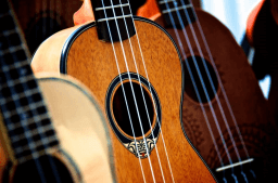 National Play Your Ukulele Day
