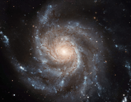 National Public Science Day