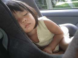 National Public Sleeping Day