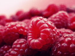 National Raspberry Bombe Day