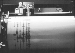 National Richter Scale Day