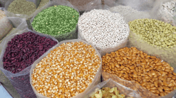 National Seed Swap Day