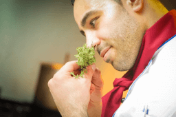 National Sense of Smell Day