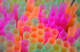 National Skip the Straw Day