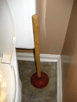 National Wear a Plunger on Your Head Day