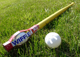 National Wiffle Ball Day