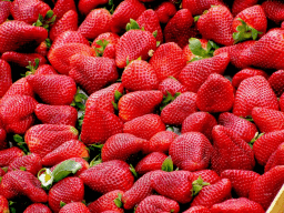 Pick Strawberries Day