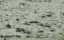 Rain Day