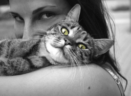 Respect Your Cat Day