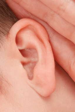 Save Your Hearing Day