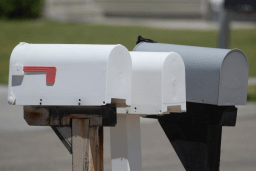 Snowplow Mailbox Hockey Day