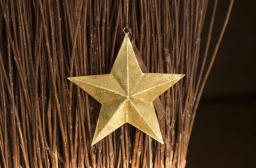 Wear a Star Day