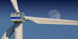 Windmill Day