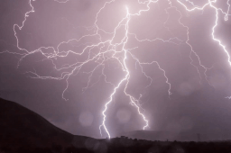 World Meteorological Day