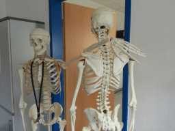 World Pediatric Bone and Joint Day